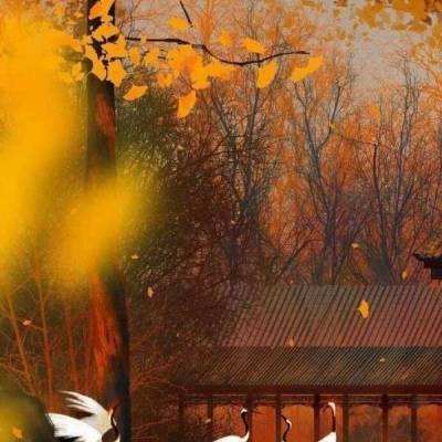 神州行手游下载